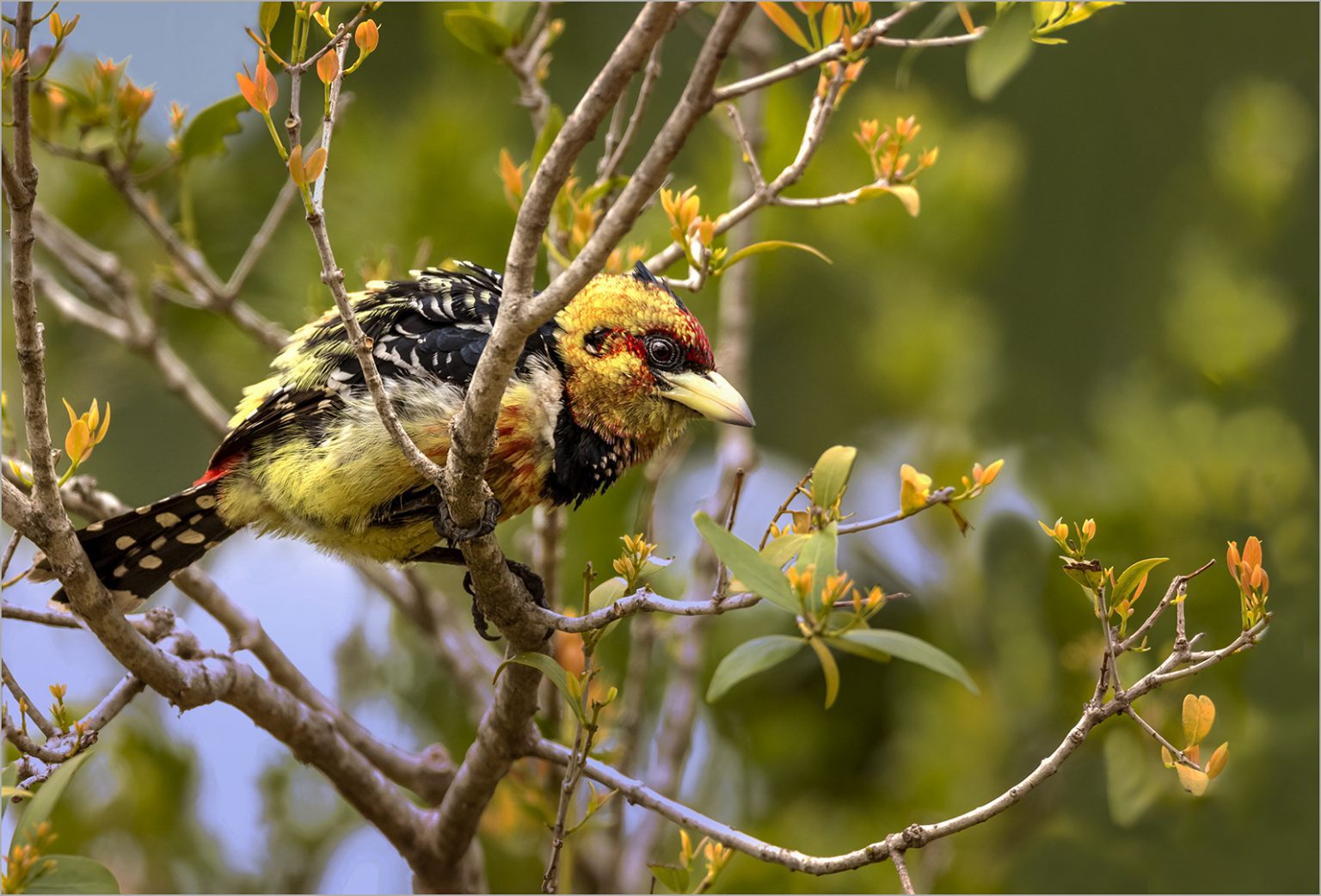 San Lameer Conservancy San Lameer | South Africas Own Tropical Paradise